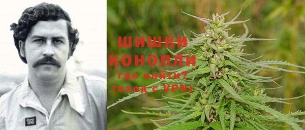 ГАЛЛЮЦИНОГЕННЫЕ ГРИБЫ Наволоки