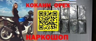 сатива Кингисепп