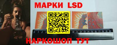сатива Кингисепп