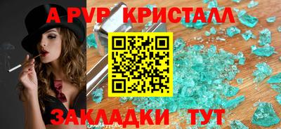 сатива Кингисепп