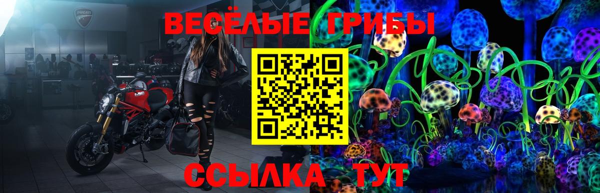 Псилоцибиновые грибы мухоморы Сокол