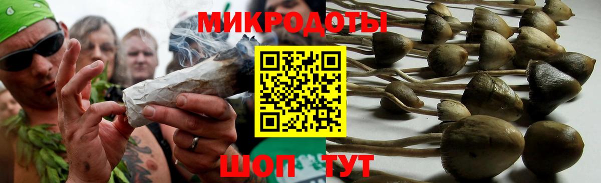 Псилоцибиновые грибы Psilocybine cubensis  Вход с VPN  Сокол 