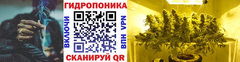 Шишки марихуана семена  Сокол 