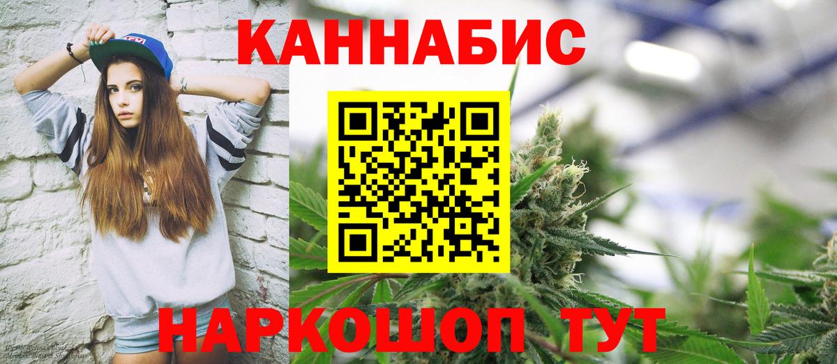 Канабис конопля Сокол